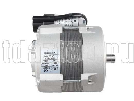 Электродвигатель Elco EBR DYD-75 F120/R Gas (65326743)