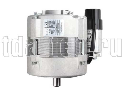 Электродвигатель Elco EBR DYD-75 F120/R Oil (65326747) Электродвигатель Elco EBR DYD-75 F120/R Oil (65326747)