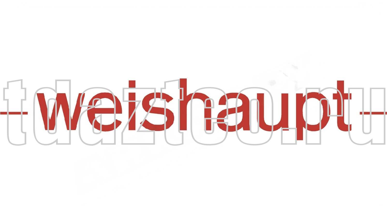 Манометр Weishaupt (23011026052)