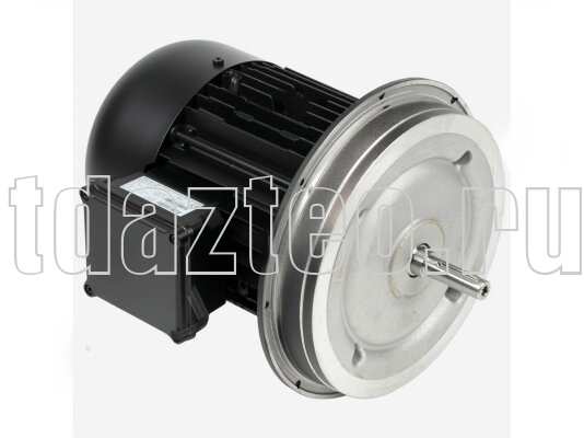 Электродвигатель Weishaupt W-D112/170-2/7K0 (21841507010)
